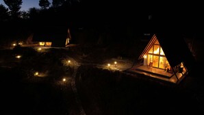 Une petite cabane illuminée, dotée d’une porte en verre, entourée d’une zone boisée la nuit.