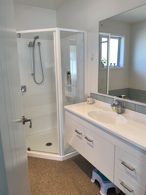 Shower, towels, soap, toilet paper