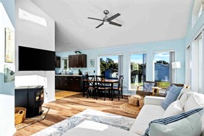 TV connectée, cheminée, lecteur de DVD, livres