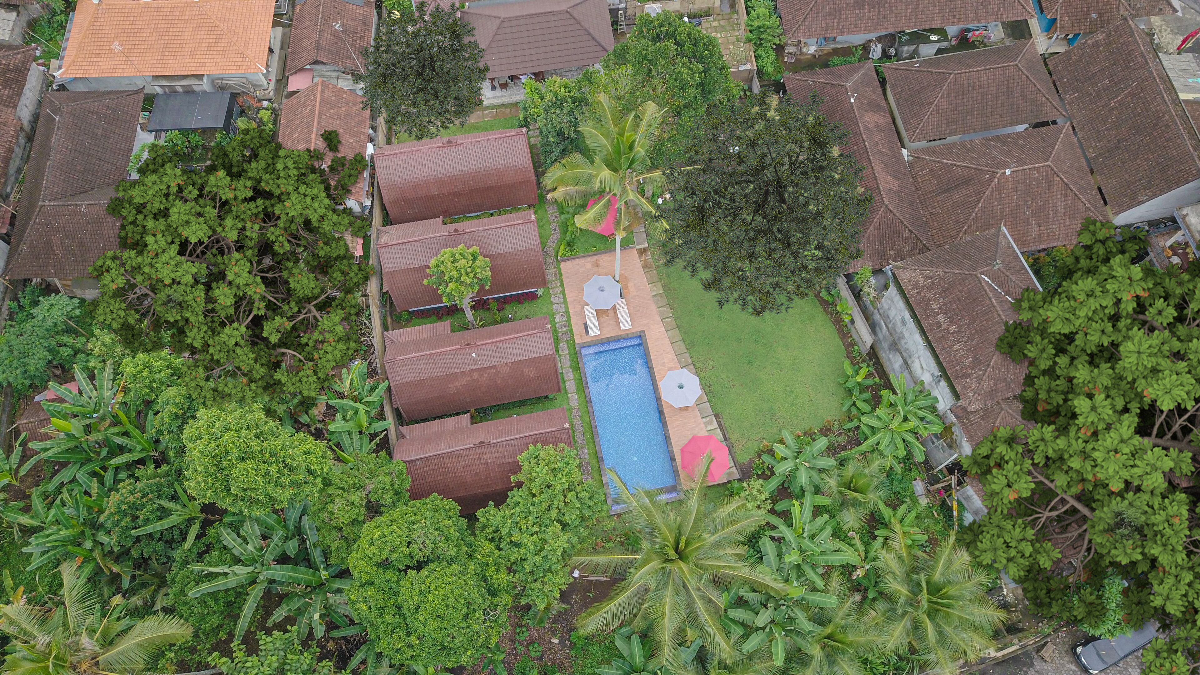 Vista aérea de una zona residencial con varias casas, una piscina y abundante vegetación.