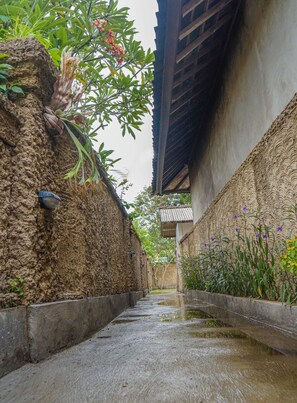 Entrada de la propiedad