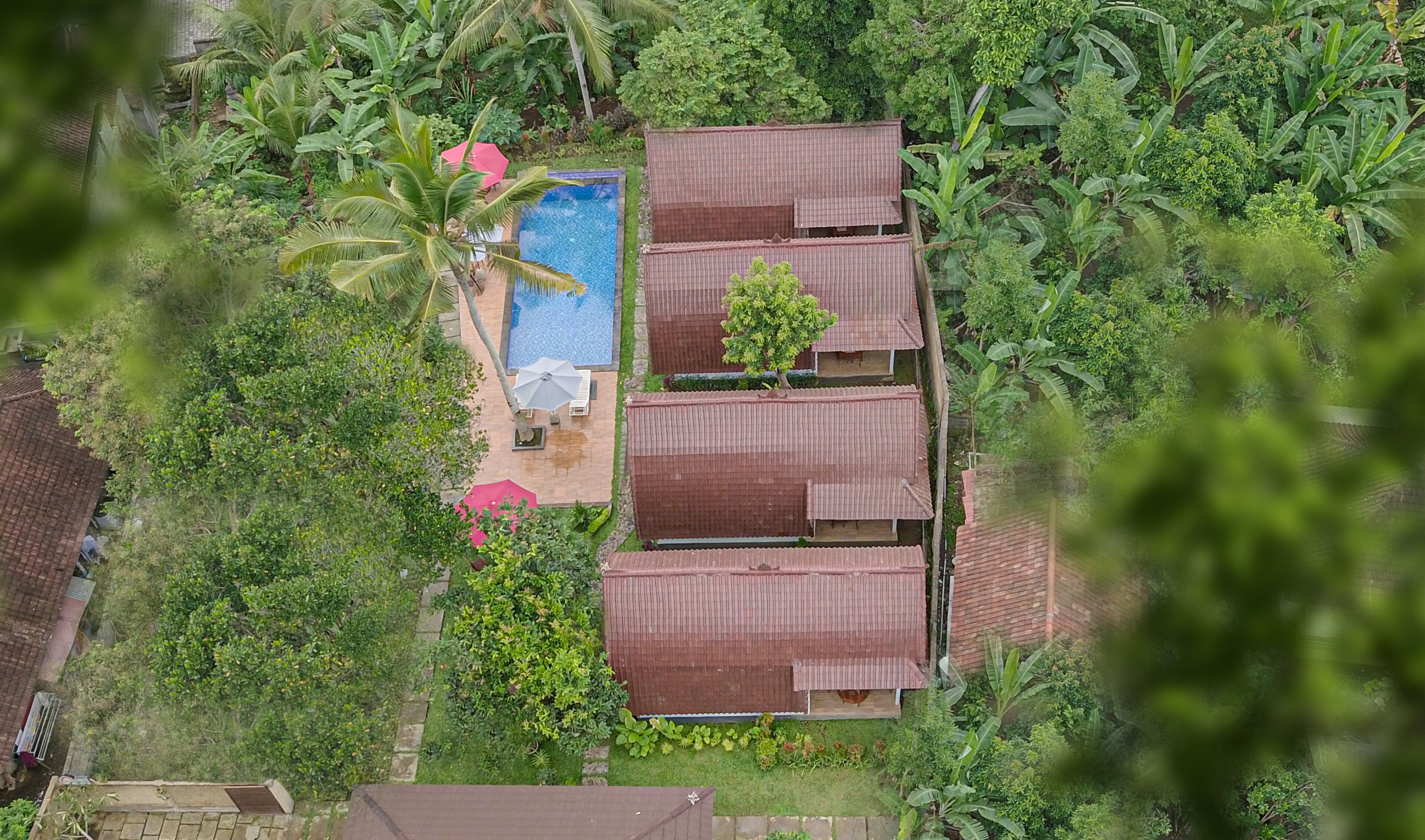 Vista aérea de una cabaña con piscina, rodeada de exuberante follaje y palmeras de plátano.