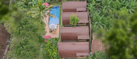 Vista aérea de una cabaña con piscina, rodeada de exuberante follaje y palmeras de plátano.
