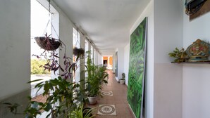 A corridor with hanging planters, potted plants, and a large green mural on the wall. - Starlite Hotels (Vanur)