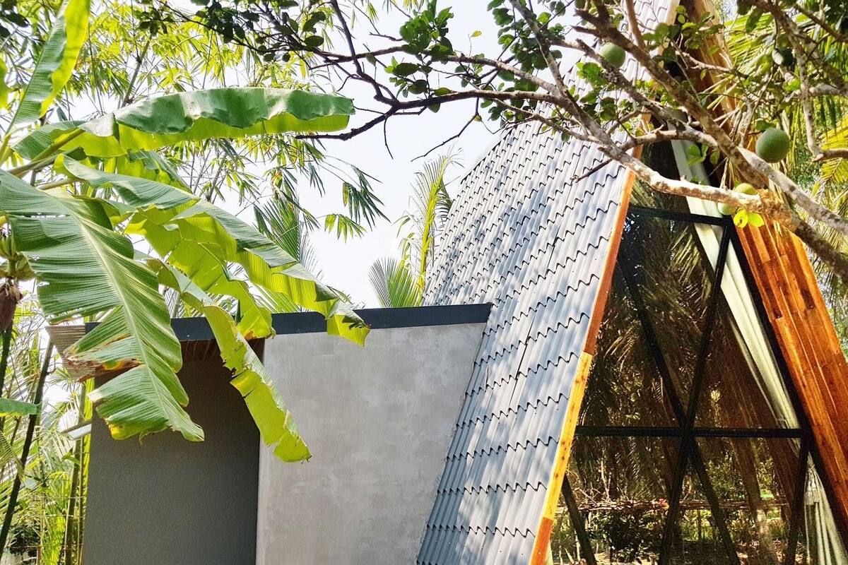 A modern building with a corrugated metal roof, surrounded by lush greenery and trees.