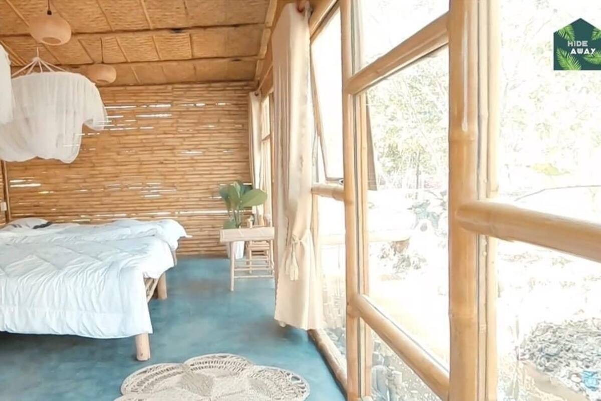 A room with a bed, a small table with a plant, and large windows.
