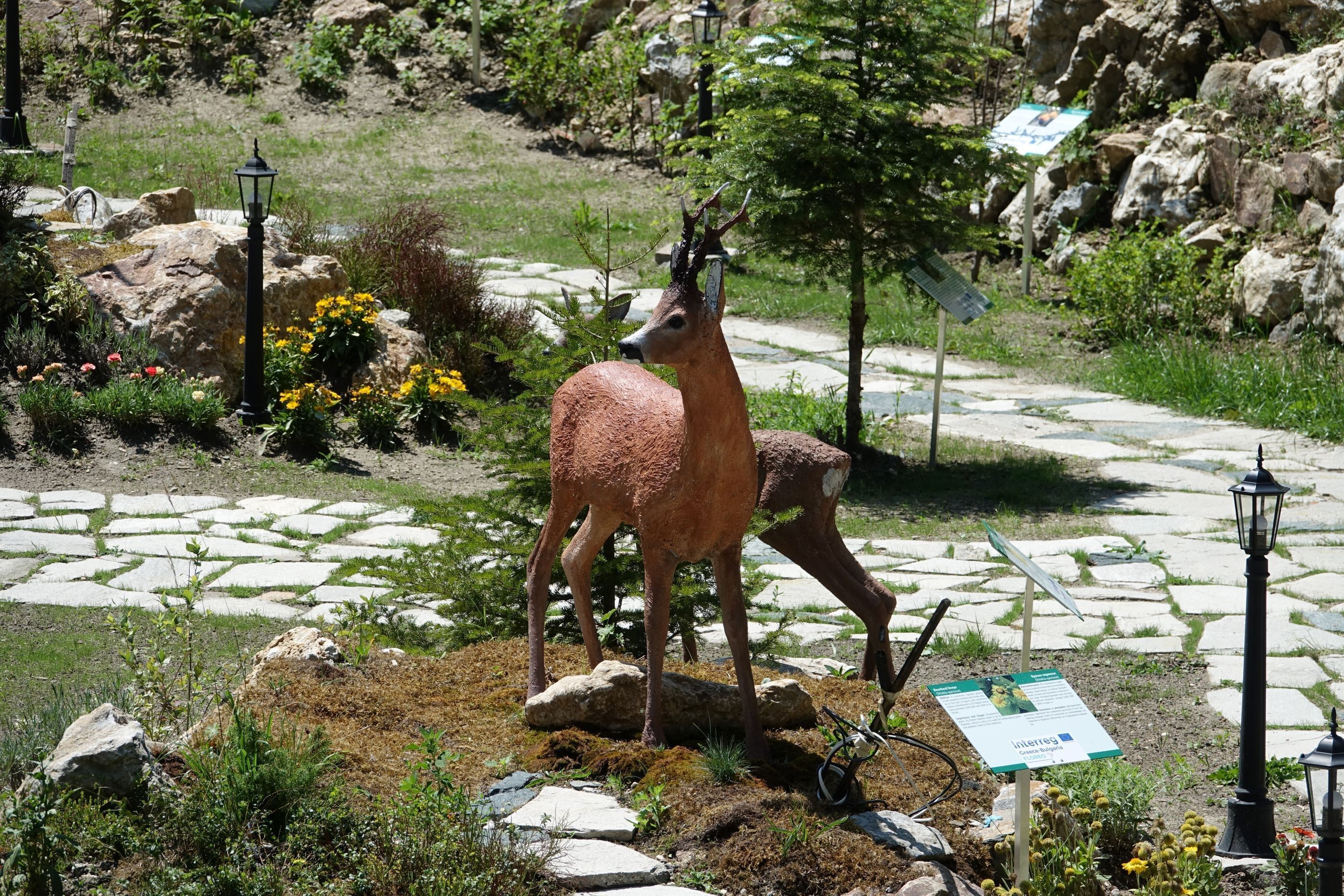 A deer statue in a garden with a stone pathway, surrounded by rocks and plants.