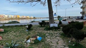 A garden area with a stone pathway, a tree, and a view of a body of water and buildings in the background. - PARADISE HOME (Augusta)