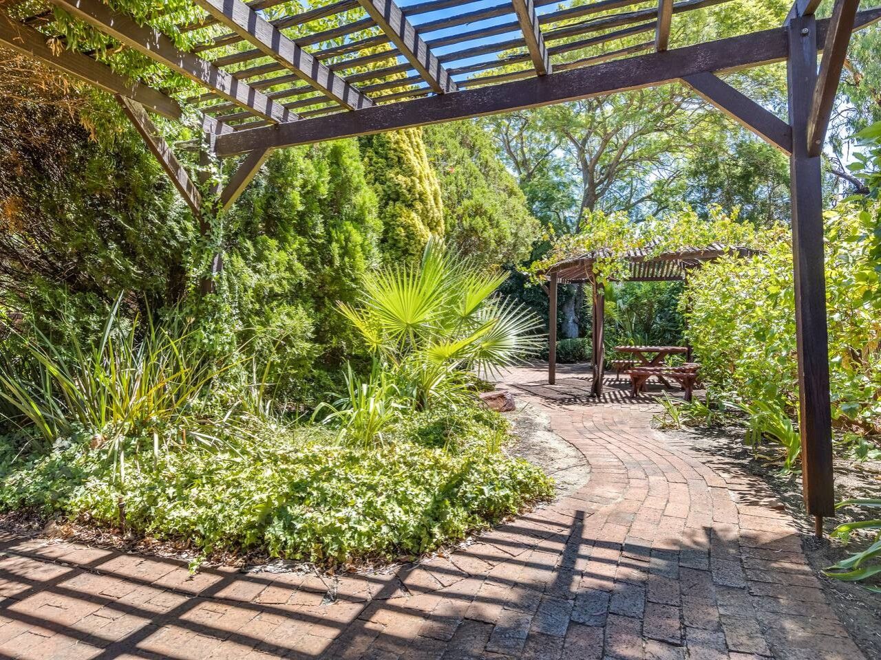 A garden pathway with a pergola structure, surrounded by lush greenery and a wooden bench.