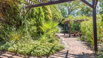A garden pathway with a pergola structure, surrounded by lush greenery and a wooden bench.