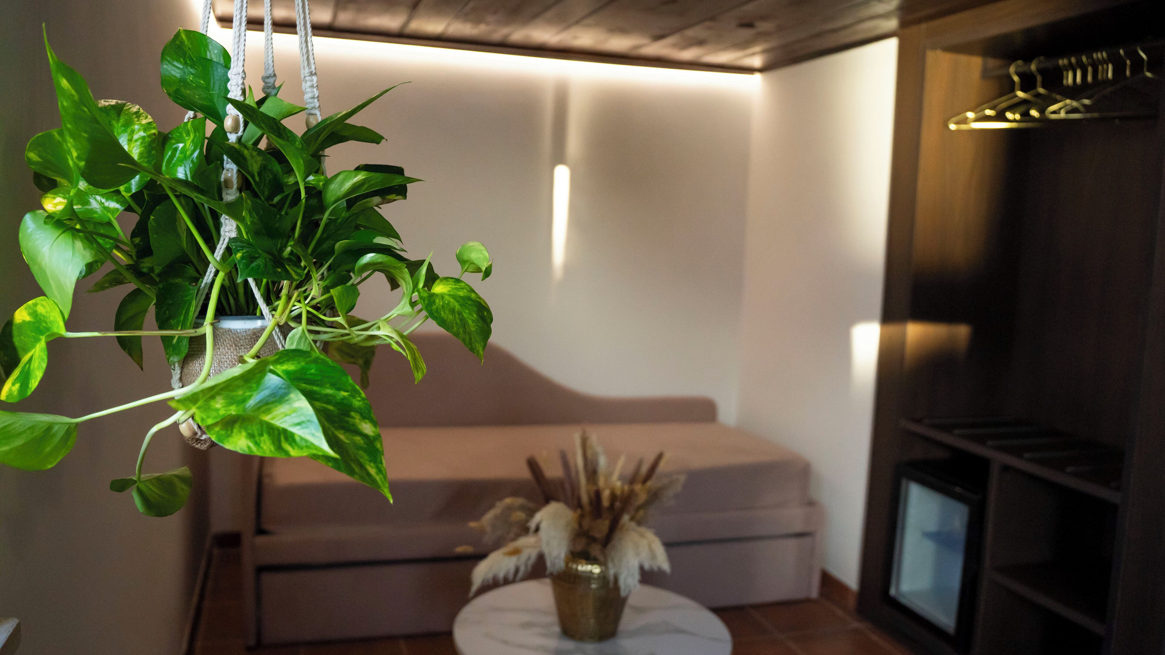 Camera Deluxe | Lenzuola Frette, biancheria da letto di alta qualità