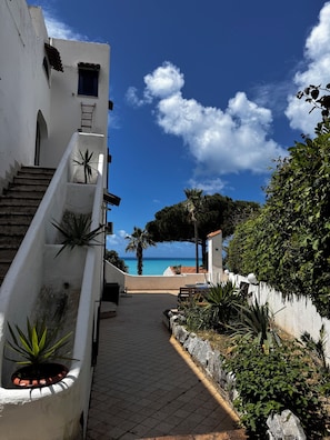 A pathway leading to a beach with a clear sky and palm trees. - Boutique San Daniele (Diamante)