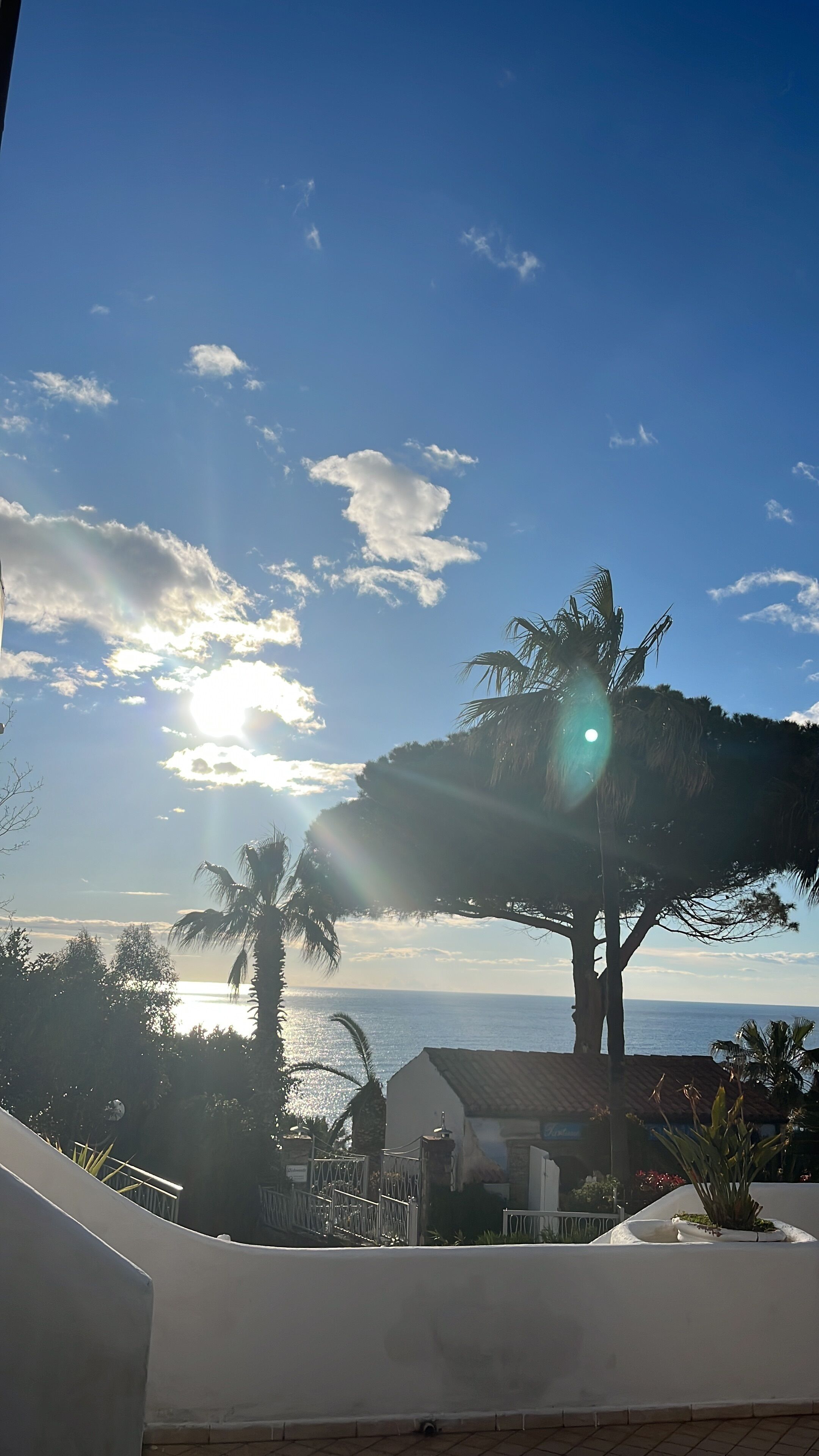 A coastal view with a clear sky, palm trees, and a building with a tiled roof.