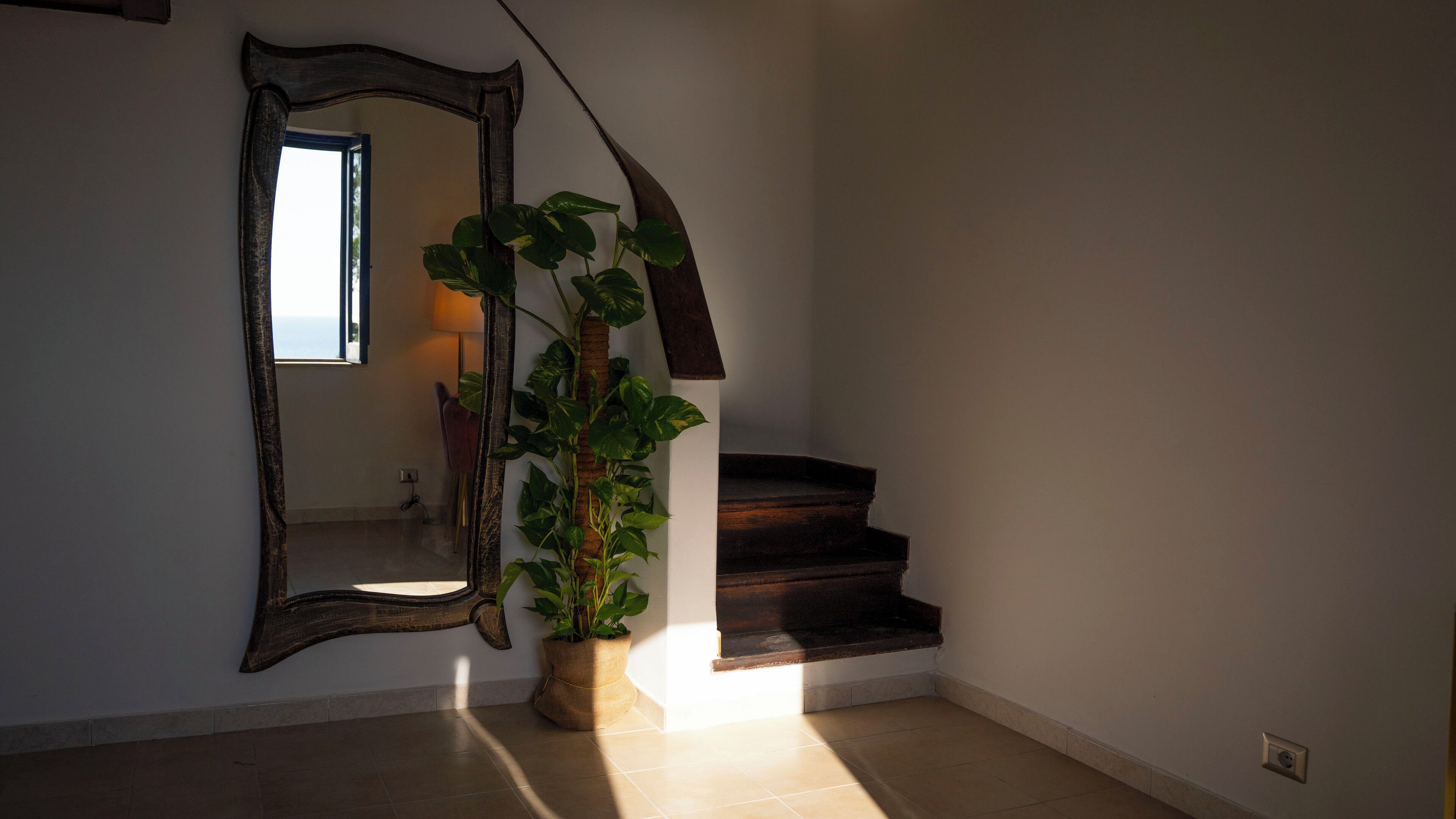 A staircase with a dark wooden finish, a large mirror on the wall, and a potted plant with broad leaves.
