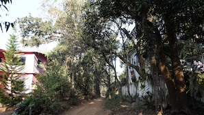 Un étroit sentier de terre, bordé d’une végétation dense, et un bâtiment rouge avec un mur blanc.