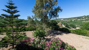 A landscape with a prominent tree, a variety of shrubs, and a clear blue sky. - Crete Getaway 3Bd Apt w Garden and View (Malevizi)
