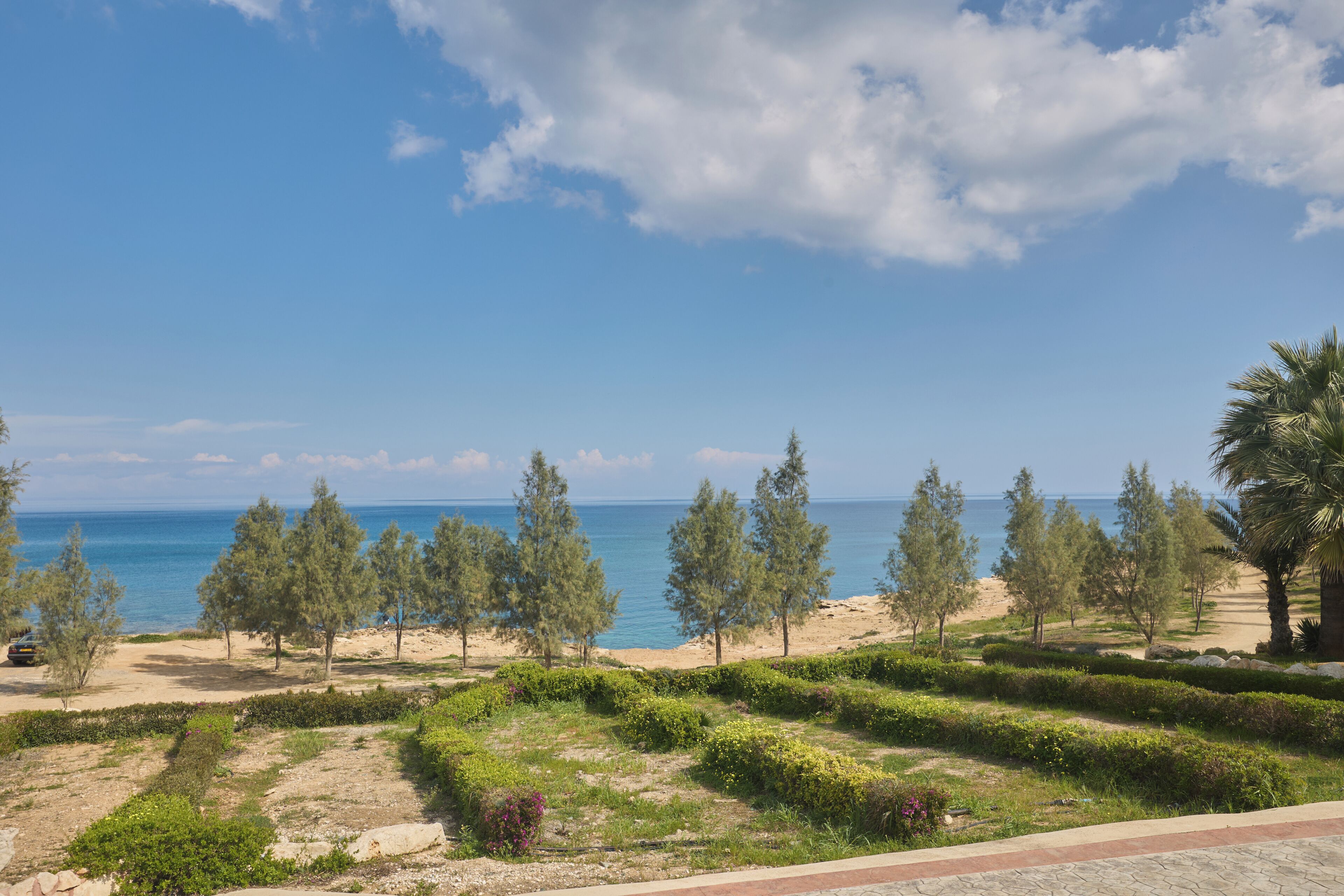 A coastal landscape with a clear sky, trees, and a sandy beach.