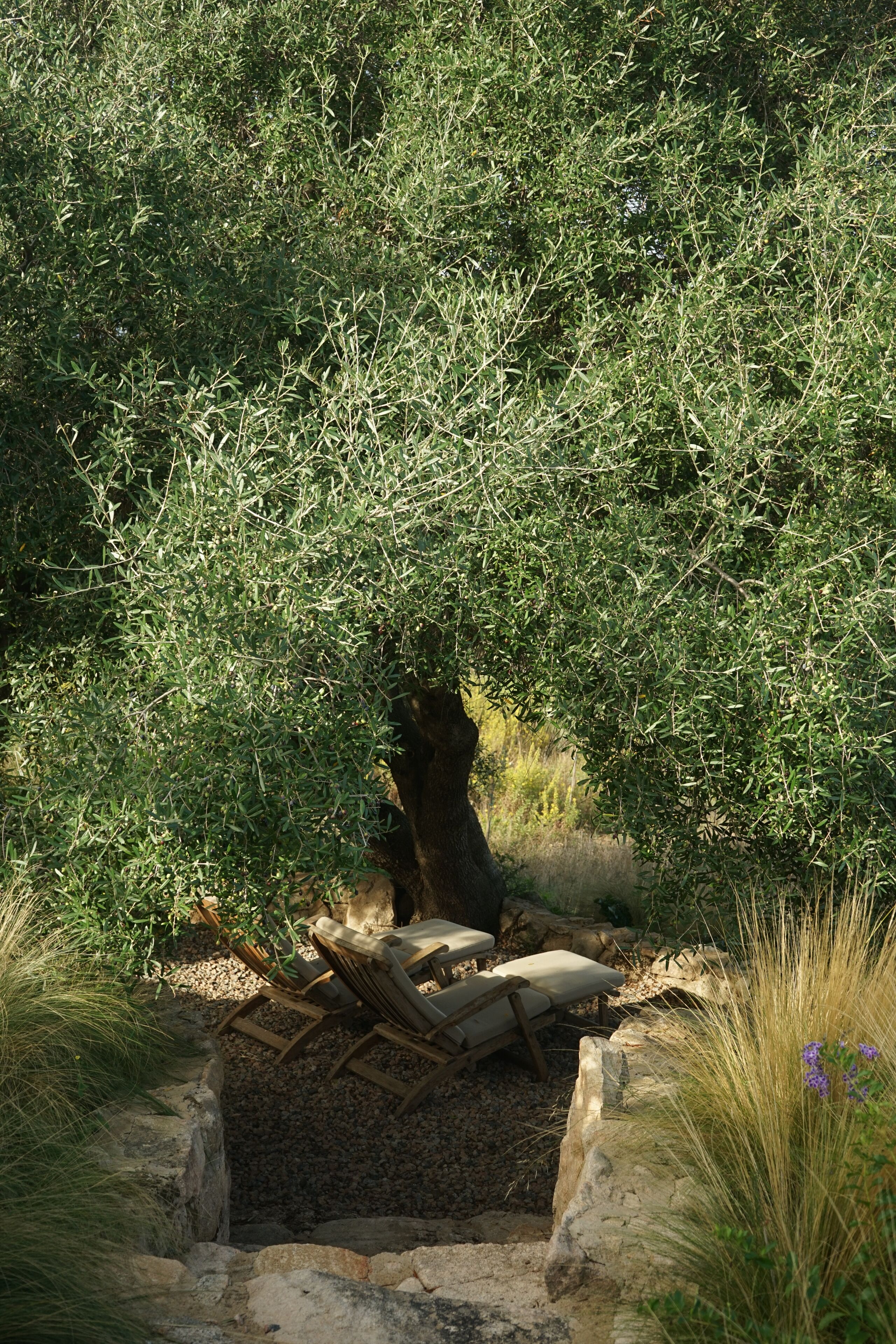 Un área de estar al aire libre de estilo rústico, con sillas y cojines de madera, rodeada de abundante vegetación y un muro de piedra.