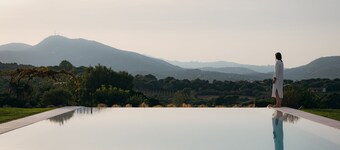 Albero Capovolto Country & Sea