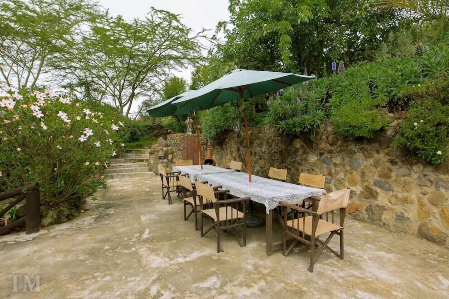Luxury Villa | Terrace/patio