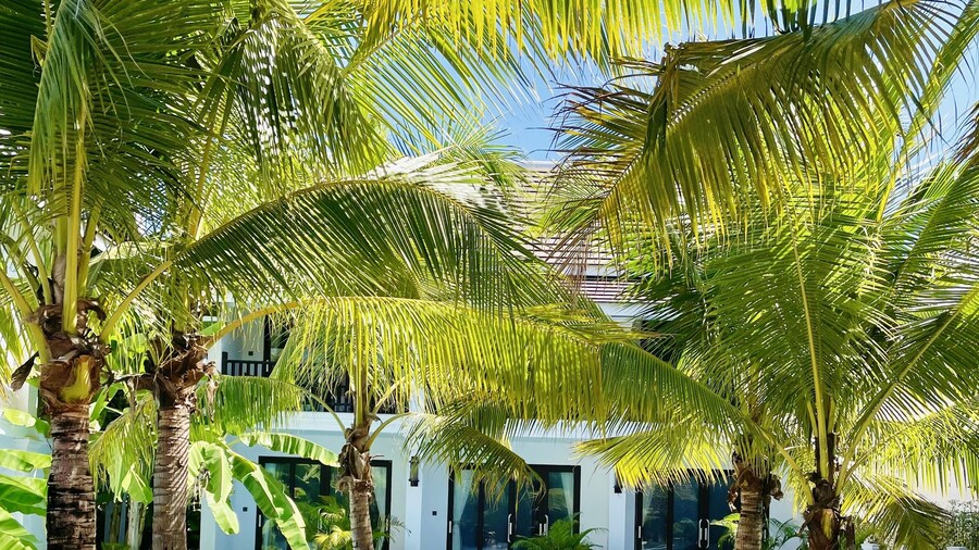 Manyo Hotel and Resort