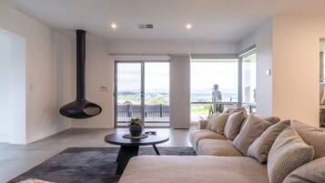 TV, fireplace, books, stereo