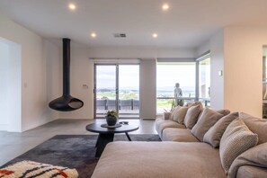 Télévision, cheminée, livres, chaîne hi-fi