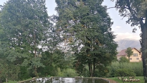 Ein Teich mit einer hölzernen Bank, umgeben von Bäumen und einem Haus im Hintergrund.