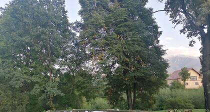 Casa Aluna Duo: Your Gateway to Tranquility near Dracula's Castle in Bran!