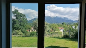 Blick durch ein Fenster auf eine Wiese mit Bäumen und einem Berg im Hintergrund.
