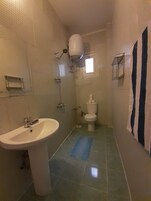 Ducha, secador de pelo, toallas, papel higiénico