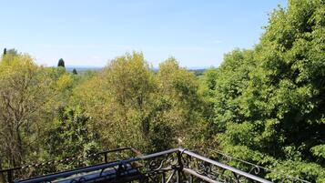 Chambre Supérieure Double ou avec lits jumeaux | Terrasse/Patio