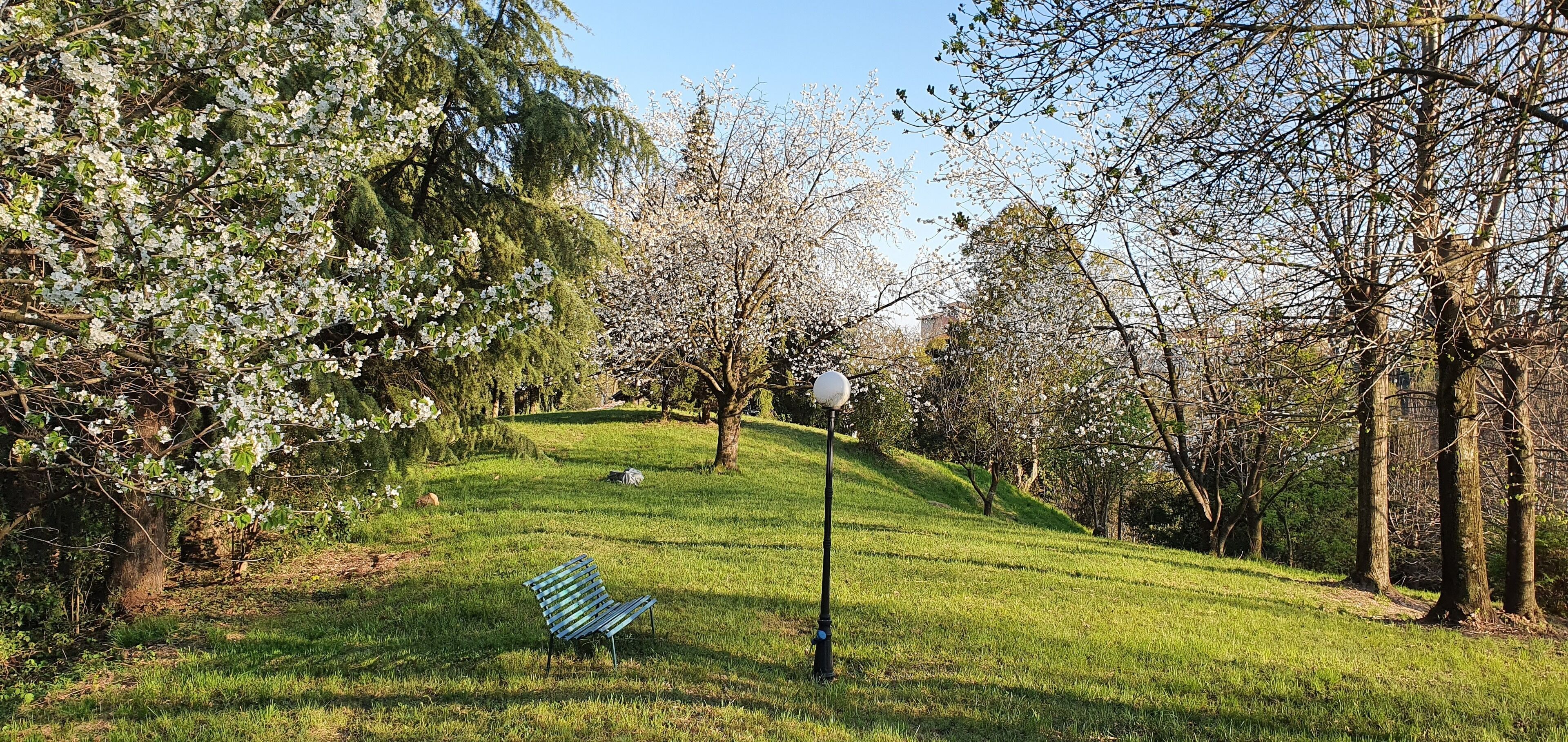 A park with a bench, trees, and a lamp post.