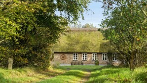 Eksteriør