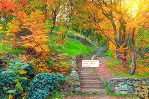 Overnattingsstedets uteområder