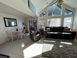 Smart TV, fireplace, books