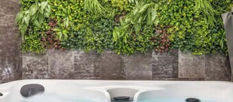 Immaculate 6-bed Ivy House