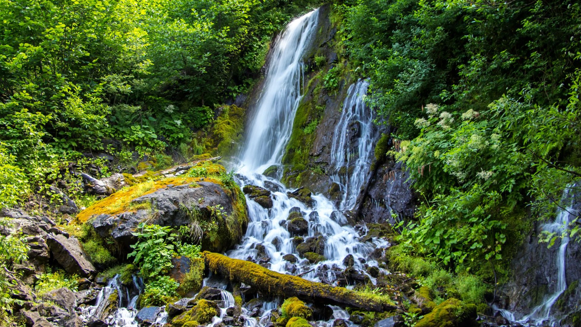 Una cascada rodeada de abundante vegetación.