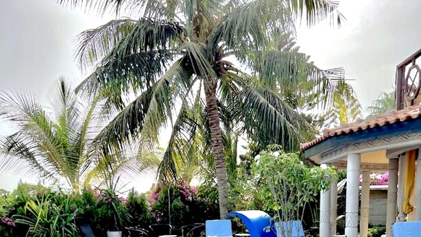 A swimming pool with lounge chairs and palm trees. - Bookwithclass-luxury Stay Pool Villa am Meer (Saly Portudal)