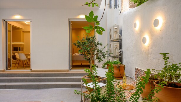 Un espace extérieur moderne aménagé avec des plantes en pot, un sol à motifs et une vue sur l’intérieur grâce à une porte ouverte.