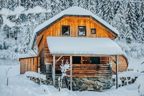 Exteriör