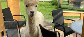 Holiday Home Kreischberg the Exclusive 7