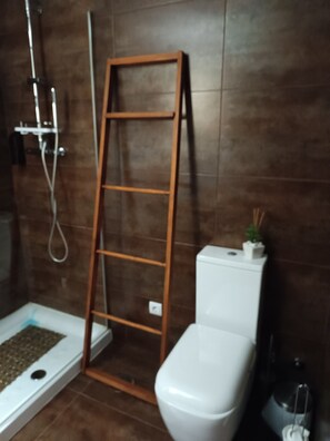 Regadera, secadora de cabello, bidet, toallas