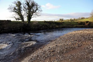 A river with a rocky bank and a tree in the foreground.