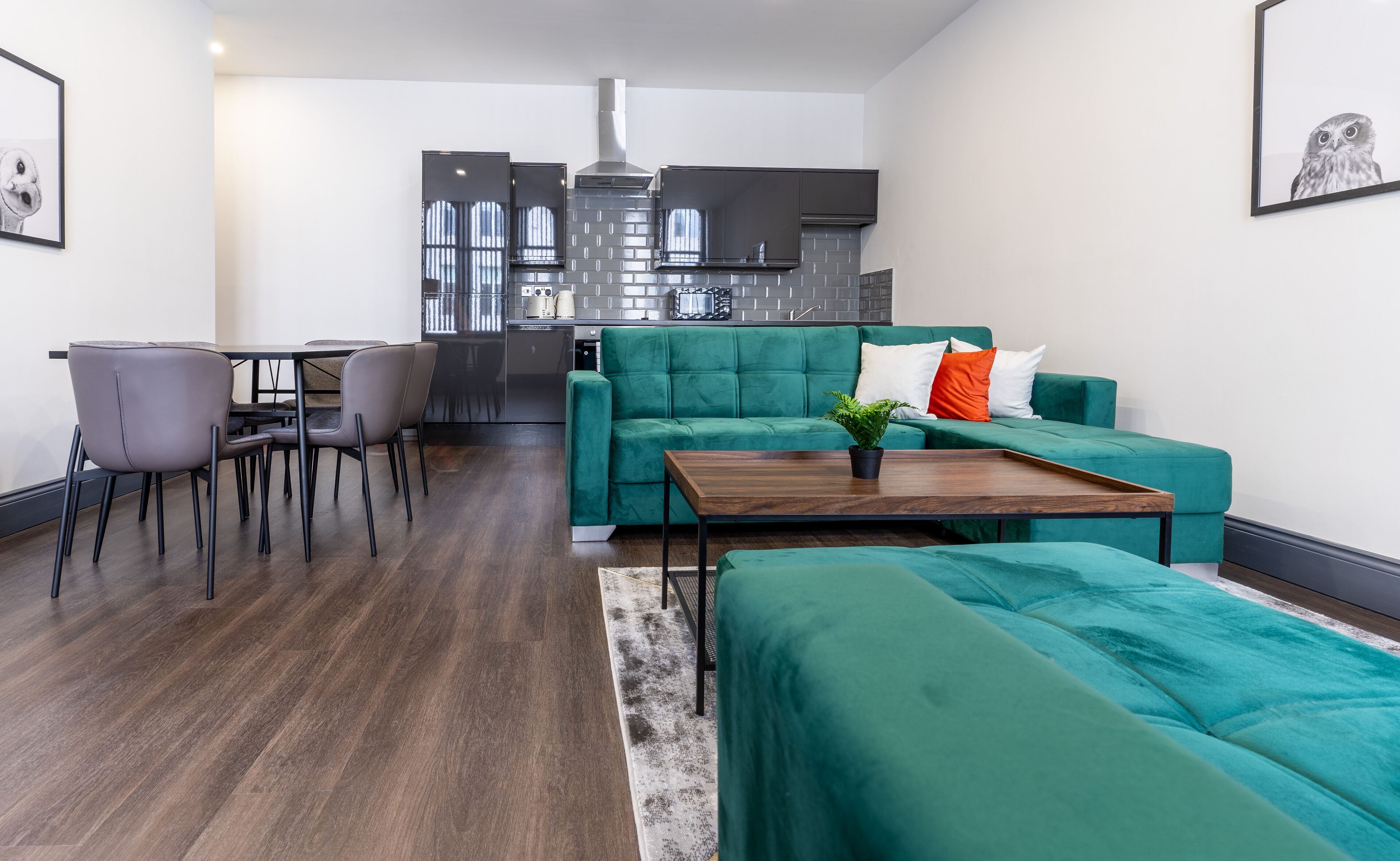 Apartment | Living area | Flat-screen TV
