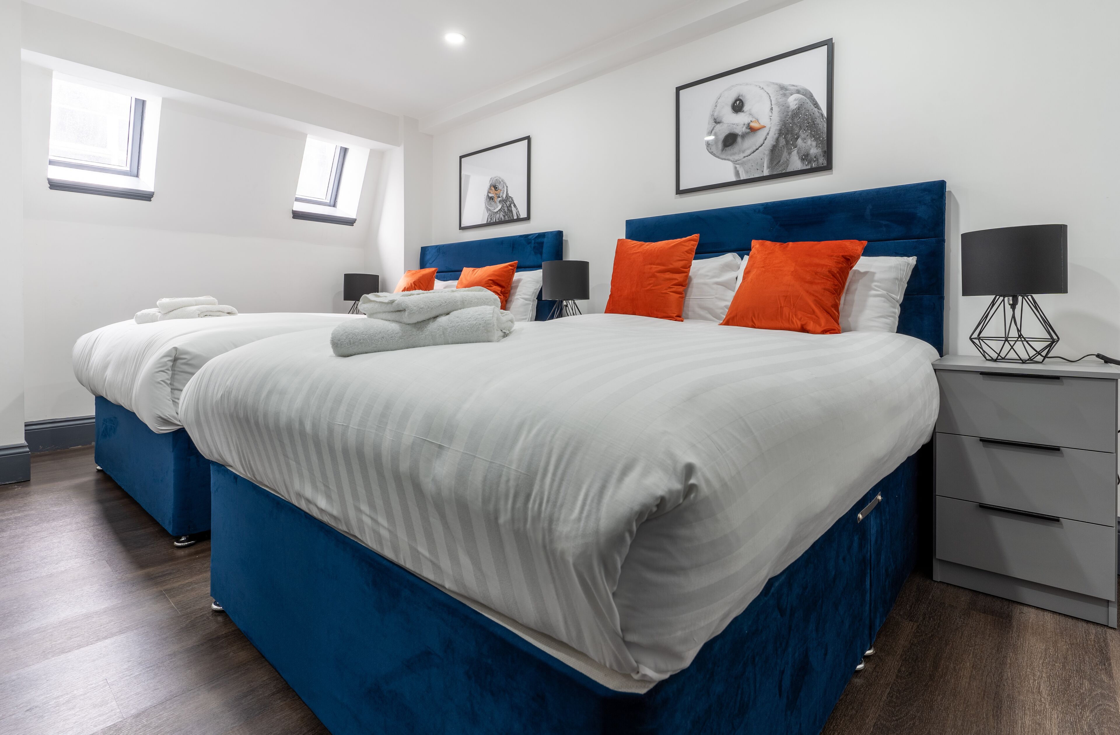 شقة | مكواة/لوح كي وواي فاي مجانًا