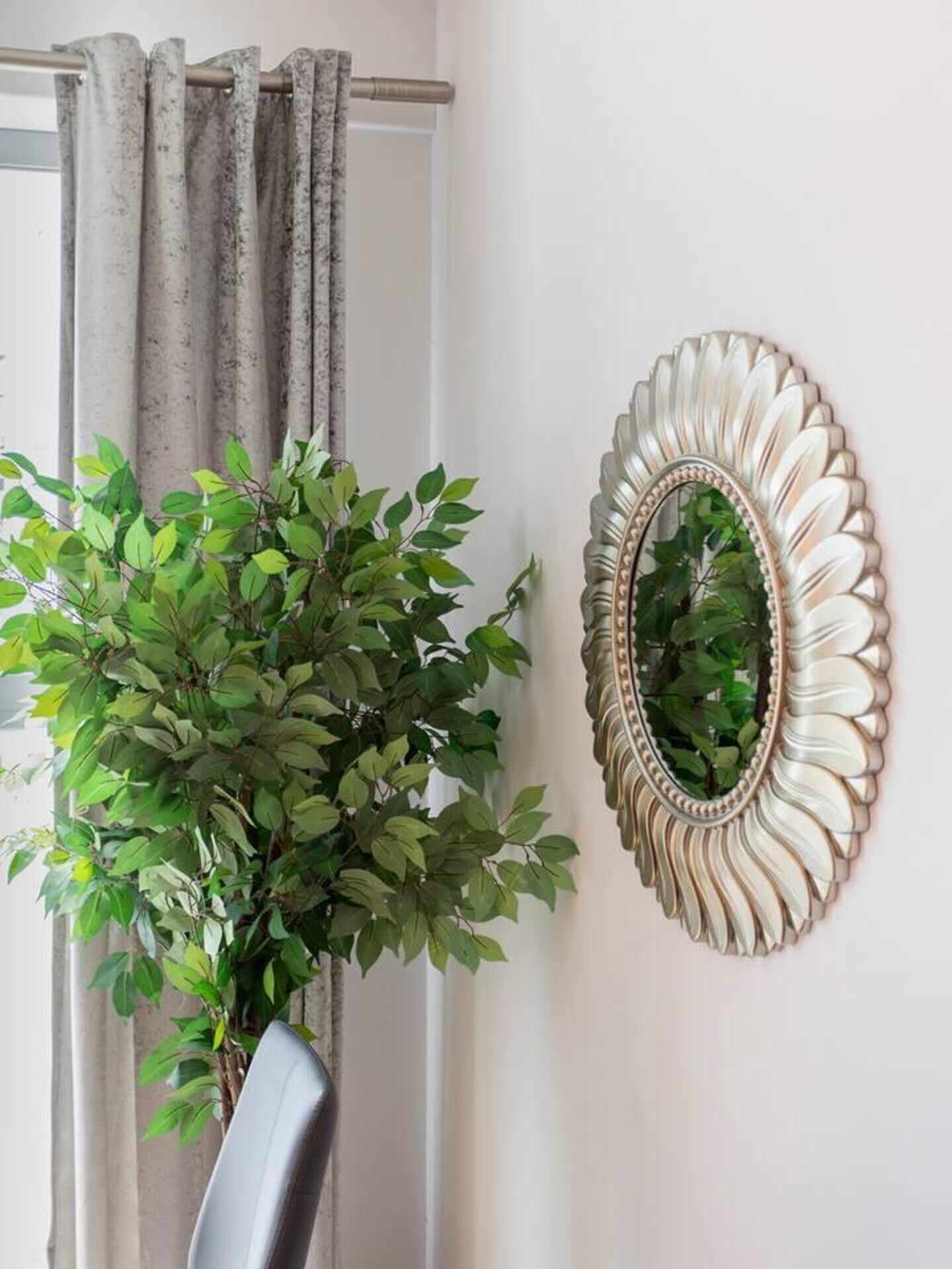 A room with a potted plant and a decorative mirror on the wall.