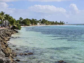 Beach - Oasis de Bellevue (Sainte-Anne)