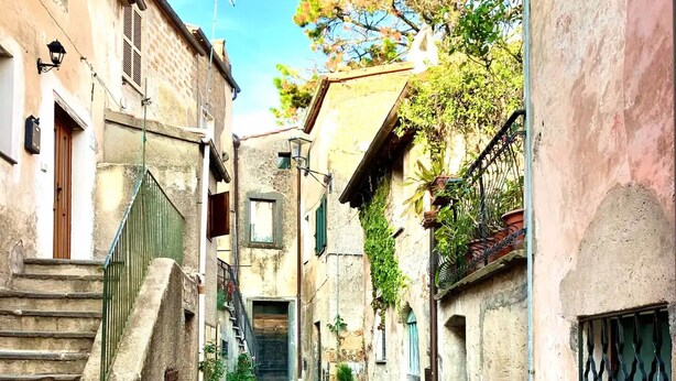 Une ruelle étroite, pavée de pierres, située entre deux bâtiments, avec un escalier sur la gauche et une entrée fermée par un portail sur la droite.