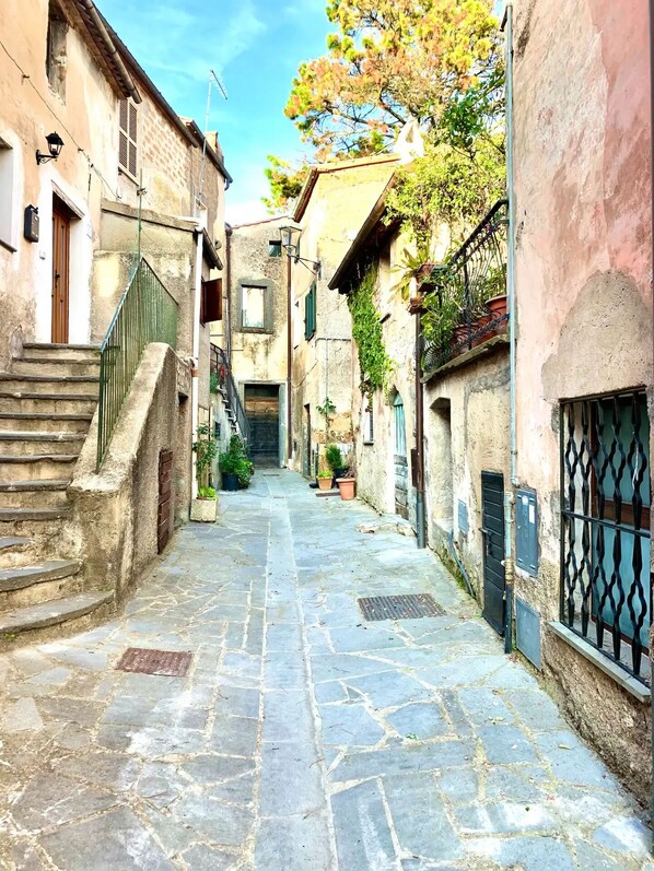 Property grounds - Idyllic historic family home with private garden. Free shuttle to Civita. (Lubriano)